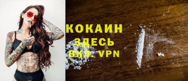 мет Инсар