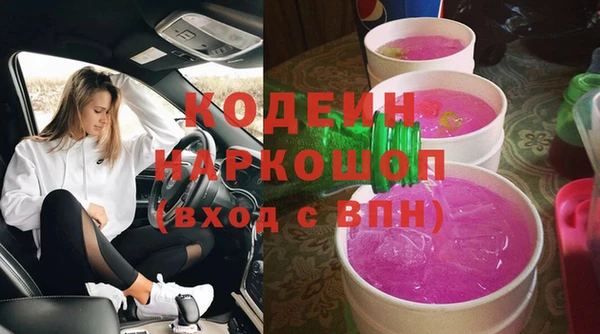 соль ск Каменногорск