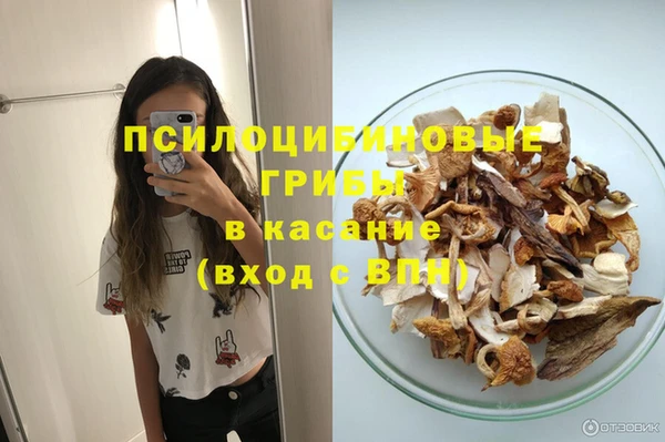дживик Иннополис