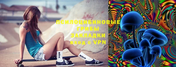 мет Инсар