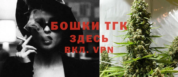 мет Инсар