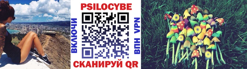 Псилоцибиновые грибы MAGIC MUSHROOMS  Купить где  Кировград 